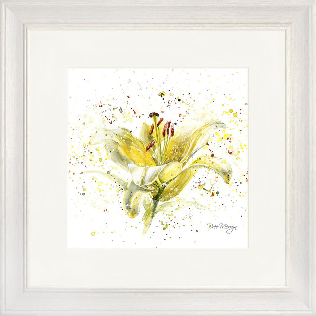 Lemon Lily