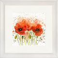 Poppies