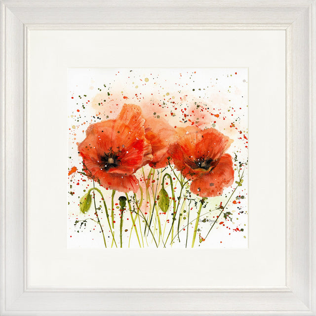 Poppies