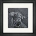 Dougal 2