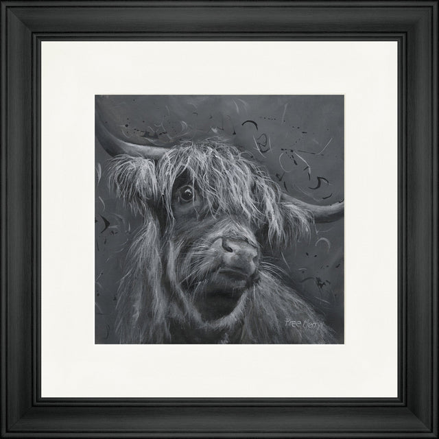 Dougal 2