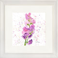 Sweet Peas