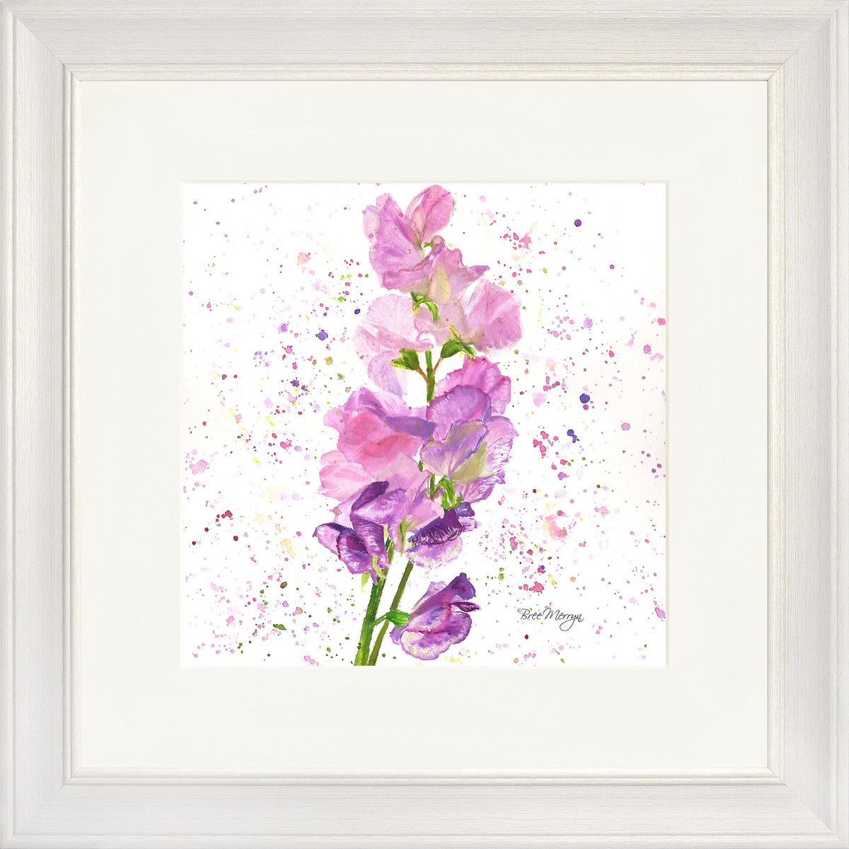 Sweet Peas