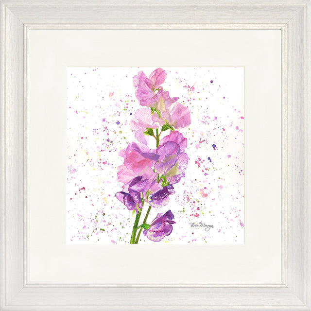Sweet Peas