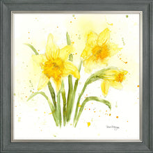 Load image into Gallery viewer, Daffodils
