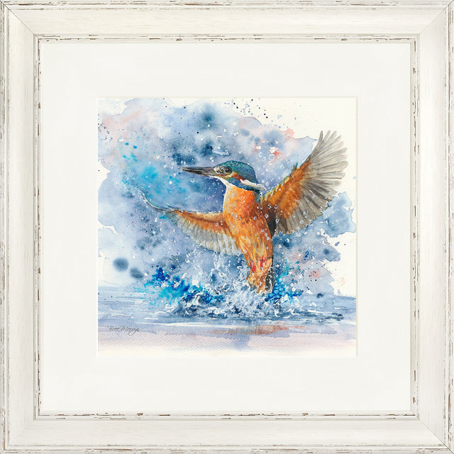 Colourful Kingfisher