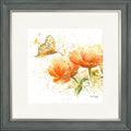 Apricot Dream
