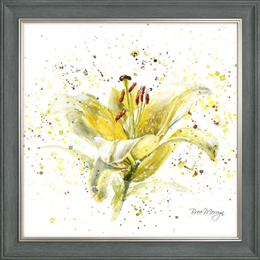 Lemon Lily