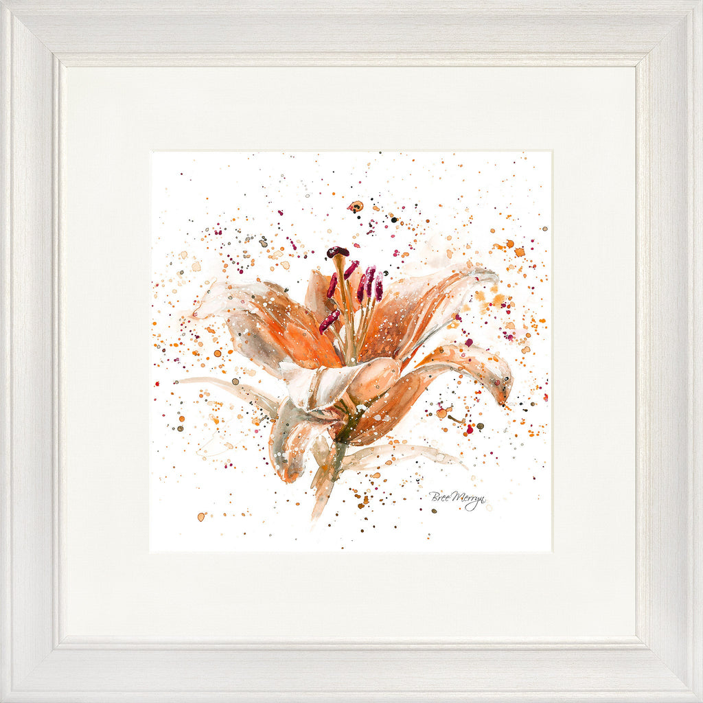 Orange Lily