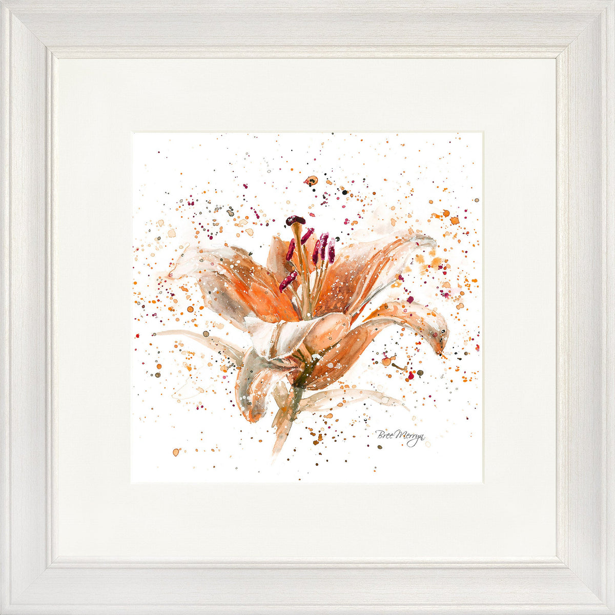 Orange Lily