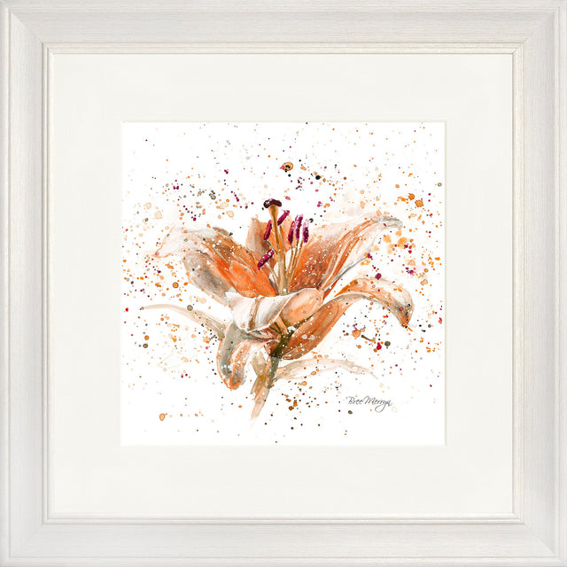Orange Lily
