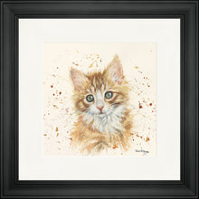 Load image into Gallery viewer, Nutmeg
