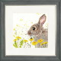 Dandelion Delight