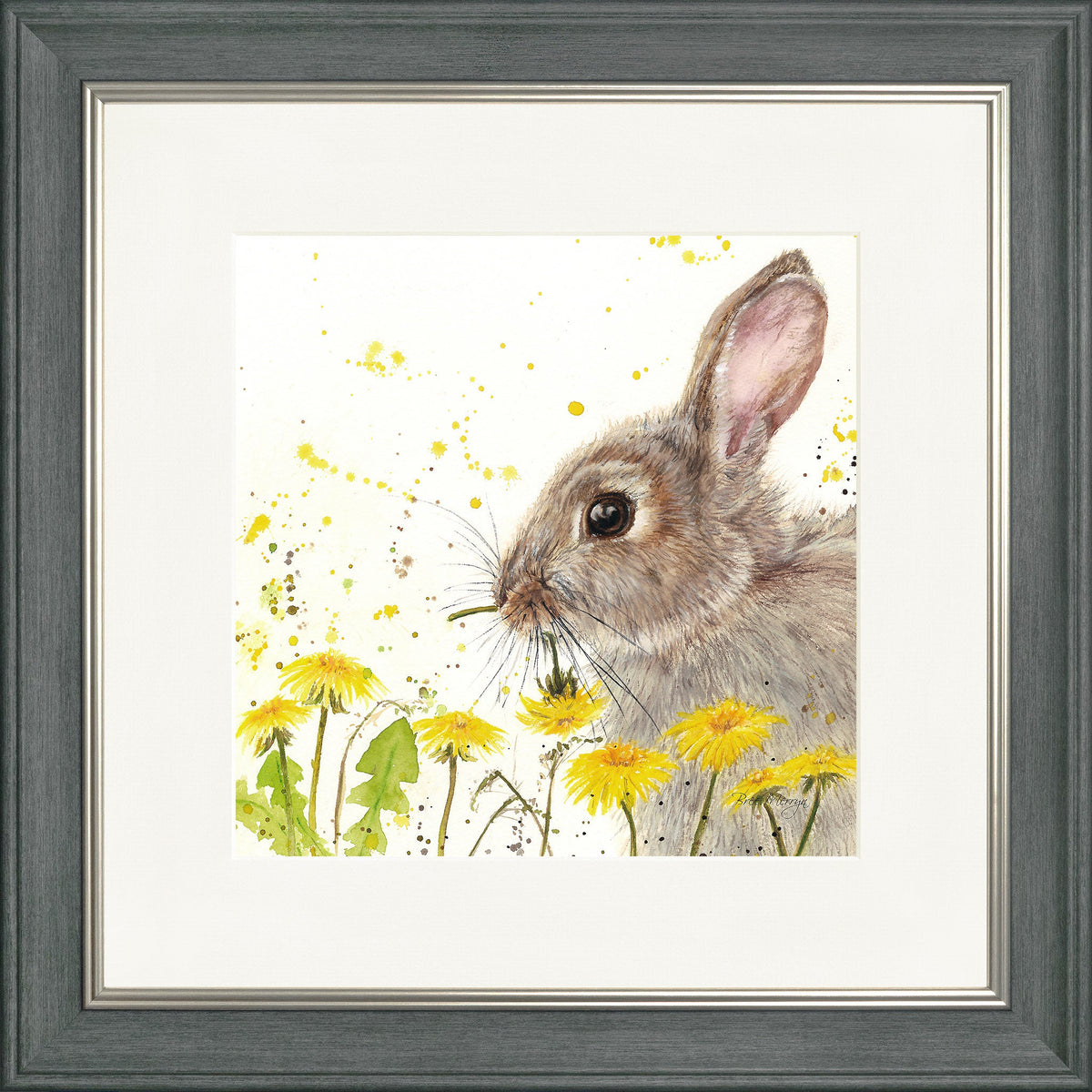 Dandelion Delight
