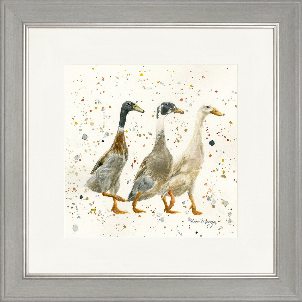 The Three Duckgrees